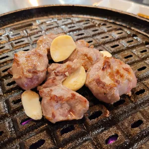 접시고기 사진
