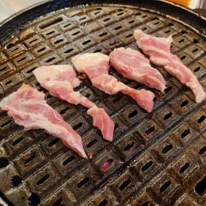 접시고기 사진