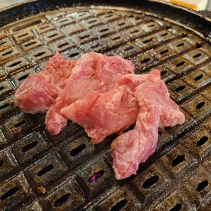 접시고기 사진