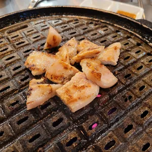 접시고기 사진