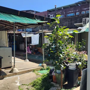 튀김식당 리뷰 사진