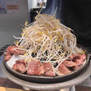 라무진 사진