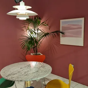 덴스크 리뷰 사진