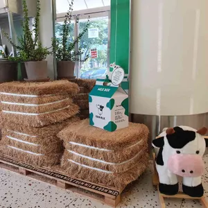 프롬밀크 리뷰 사진