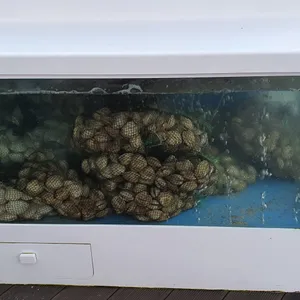 삼척전복해물뚝배기 리뷰 사진