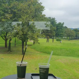 조르바 리뷰 사진