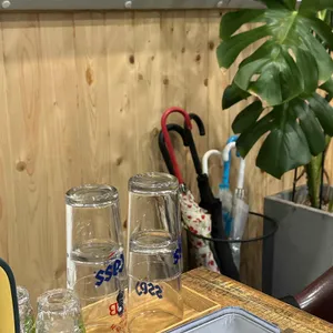 불날개 사진