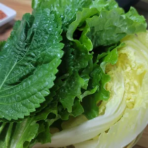 해나루 사진