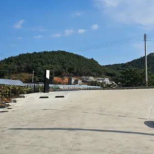 뮤시엄 리뷰 사진