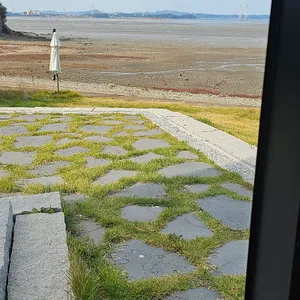 뮤시엄 리뷰 사진