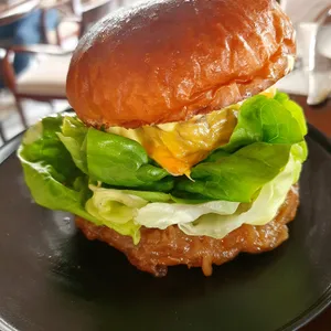 꽁크 사진