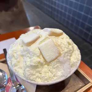 동빙고 사진