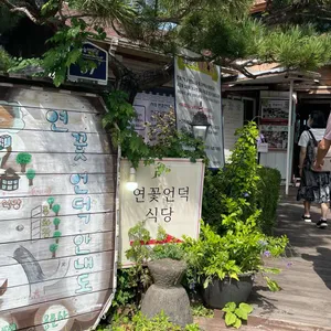 연꽃언덕 리뷰 사진