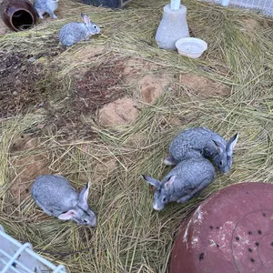 산내956 리뷰 사진
