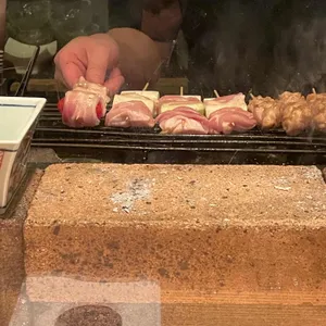 콘유 사진