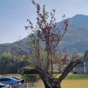 카페 스테이인터뷰 리뷰 사진