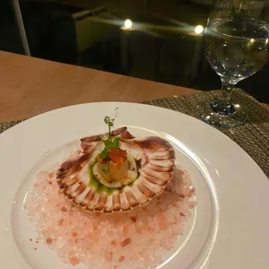 르꼬숑 사진