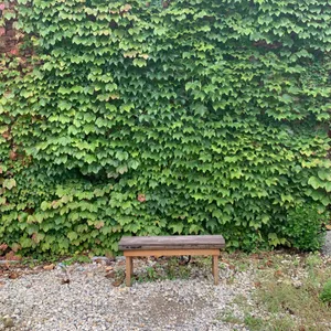 틈 리뷰 사진