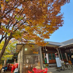 원조 신촌식당 리뷰 사진