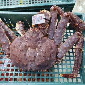 은하수산가락시장 리뷰 사진