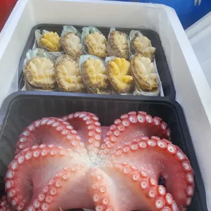 은하수산가락시장 사진