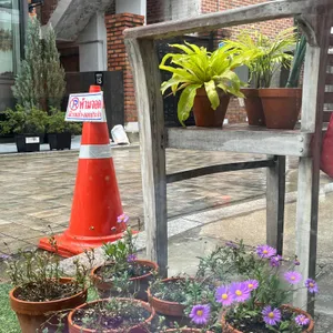 코랏 리뷰 사진