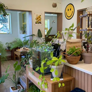 카페덕덕 리뷰 사진