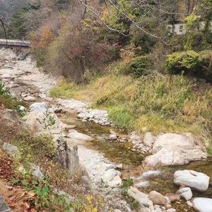 이모네집 리뷰 사진