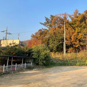 초월보리밥 리뷰 사진