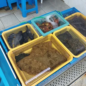 민락회타운 리뷰 사진