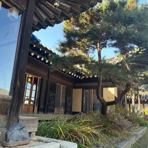 민들레울 리뷰 사진
