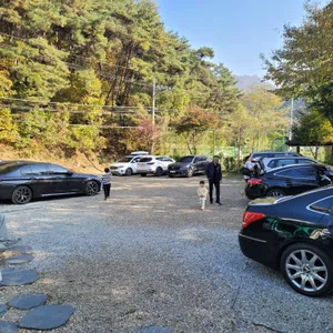 치악산송어회 리뷰 사진