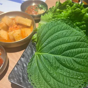 선어도 사진