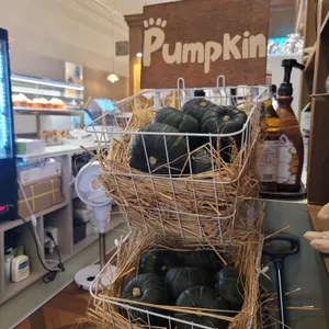 럼피범피 리뷰 사진