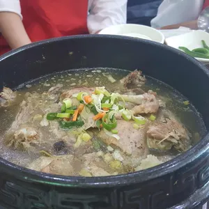 조선오리 사진