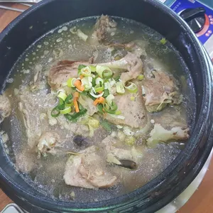 조선오리 사진