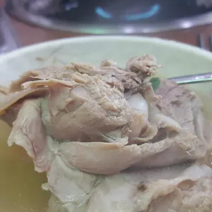 조선오리 사진