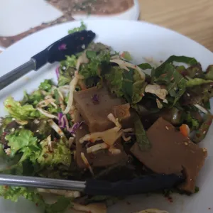 숲속도토리마을 사진