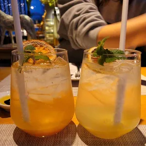 본보야지 사진