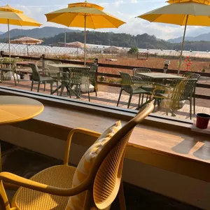 카페노랑 대표 사진