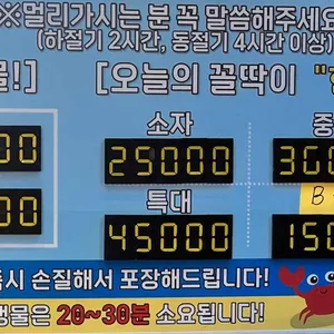 대게특별시 리뷰 사진