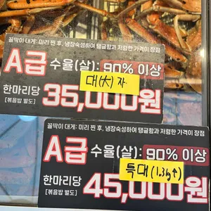 대게특별시 리뷰 사진