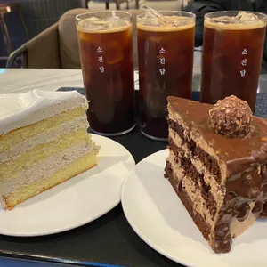 소진담  사진