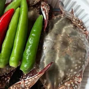 원조1호공항마을 사진