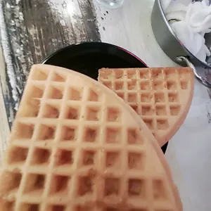 와플대학 사진