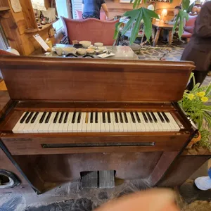 사과나무 리뷰 사진