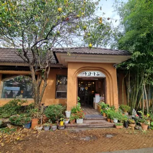 사과나무 리뷰 사진