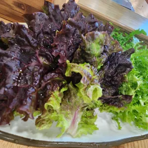 창박골원조보리밥 리뷰 사진