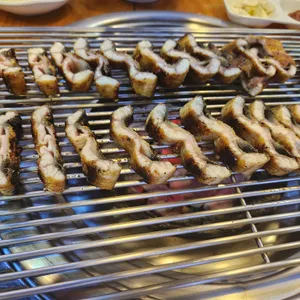 장어가 사진