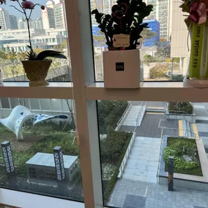 도담솥밥 리뷰 사진